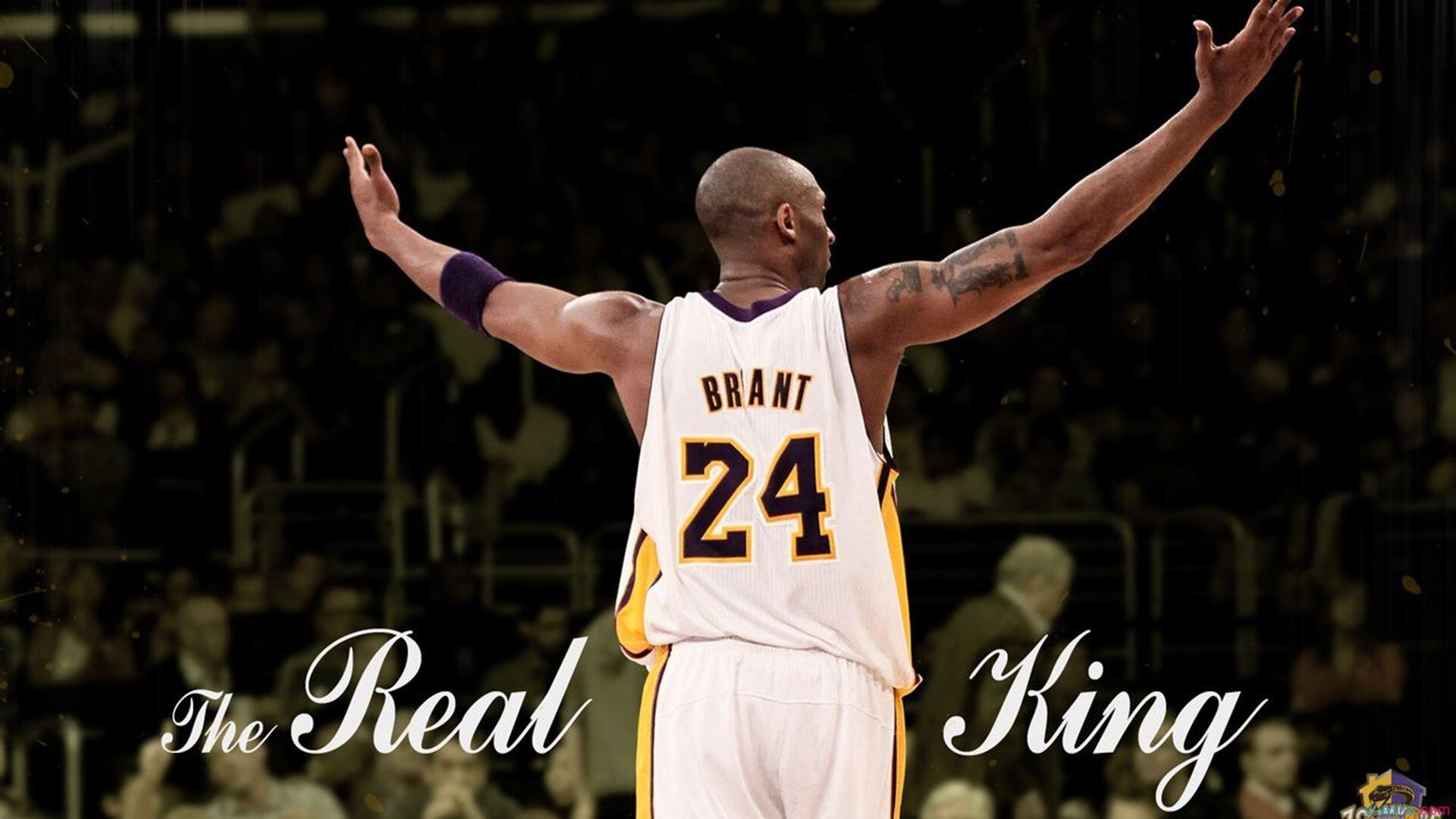  免费nba全场录像回放 